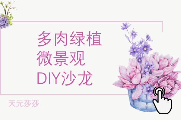 天元莎莎花藝沙龍套餐方案