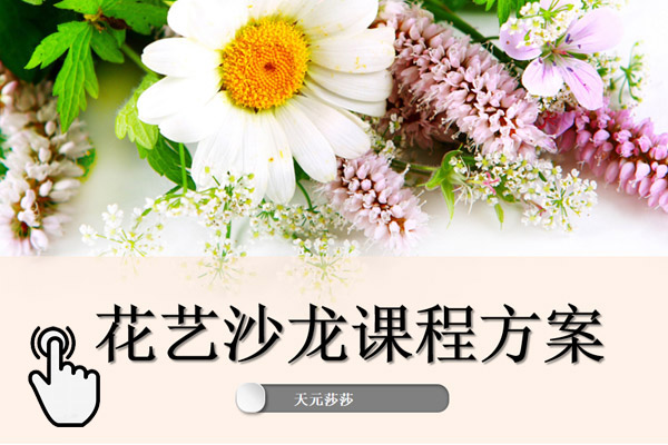 天元莎莎花藝沙龍套餐方案