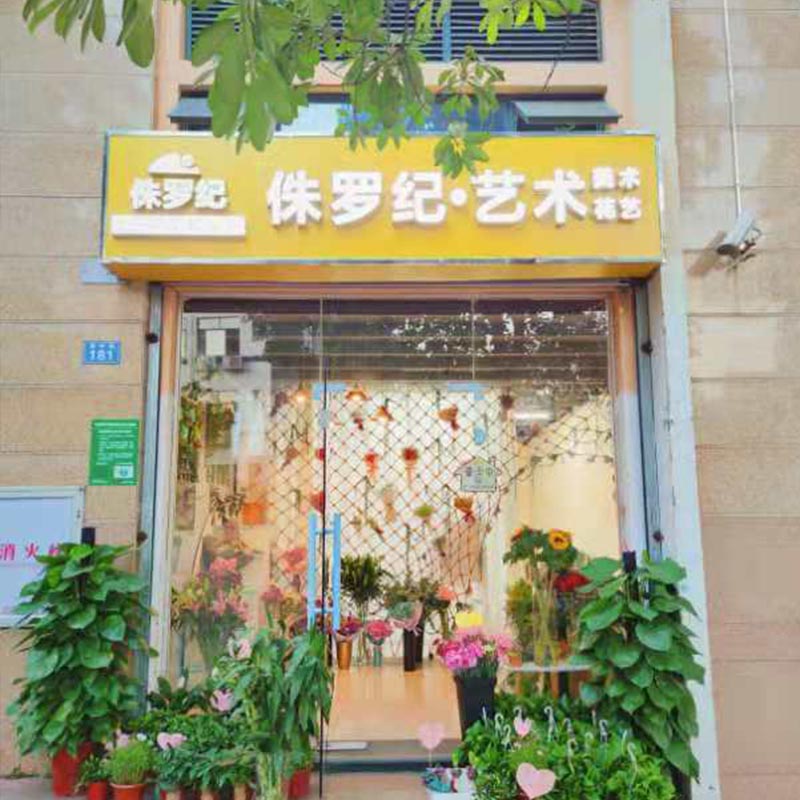 天元莎莎平臺,花藝美術培訓,花藝師考證,深圳插花培訓